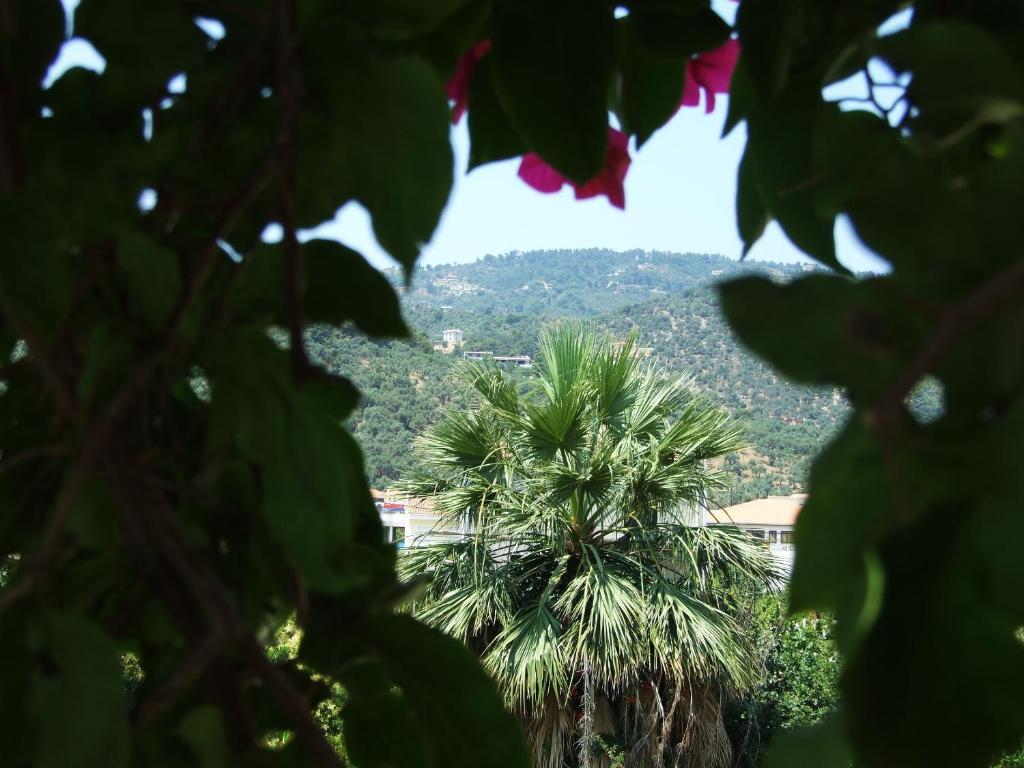 Fotinos House Skiathos Eksteriør billede